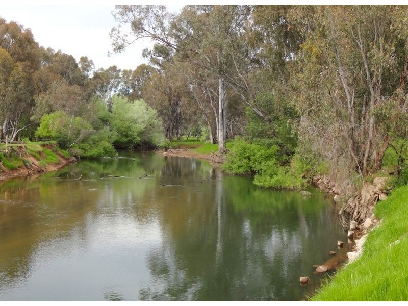 Wangaratta VIC 3677