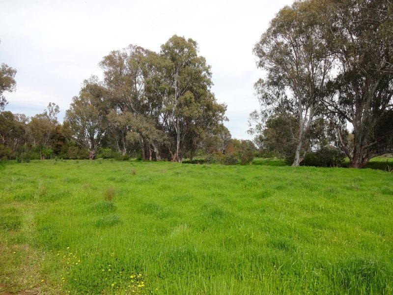 Wangaratta VIC 3677