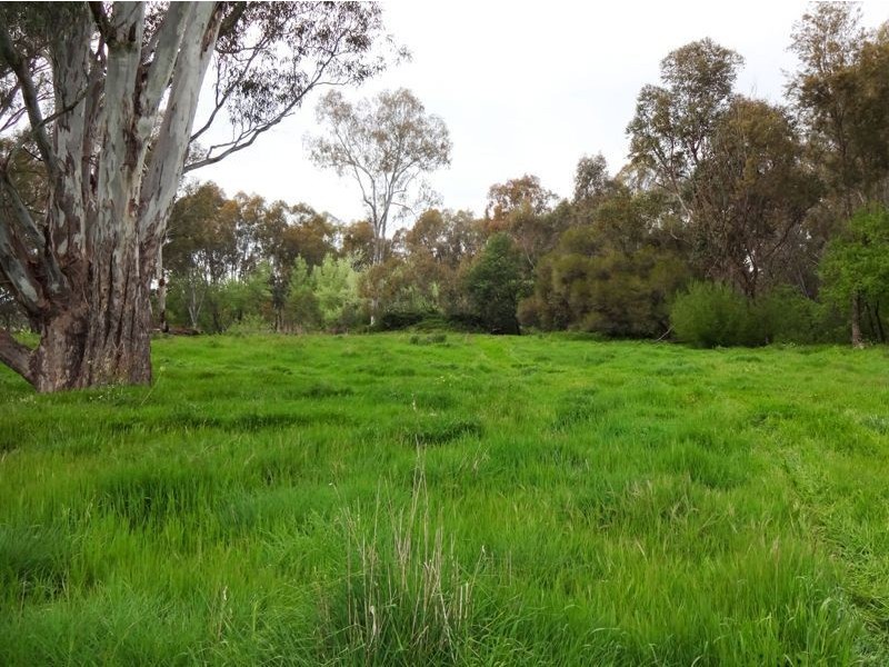 Wangaratta VIC 3677