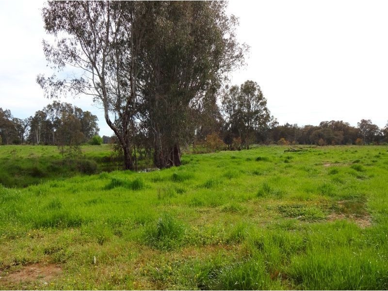 Wangaratta VIC 3677