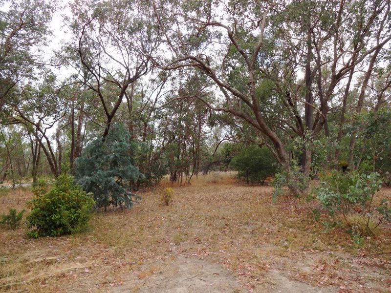 Wangaratta VIC 3677