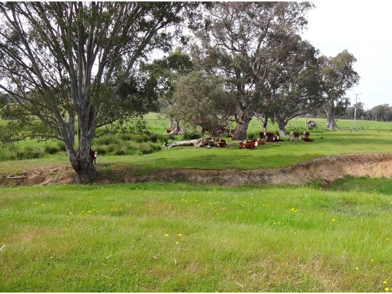 301 Boggy Creek Road, Moyhu VIC 3732