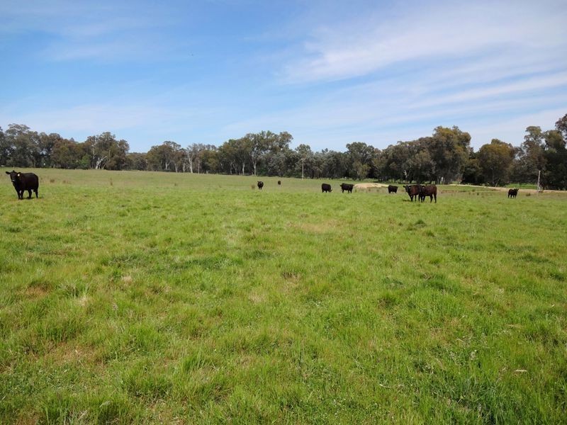 301 Boggy Creek Road, Moyhu VIC 3732