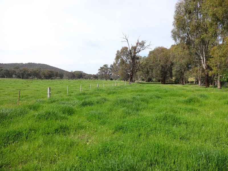 301 Boggy Creek Road, Moyhu VIC 3732