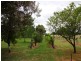 Wangaratta VIC 3677