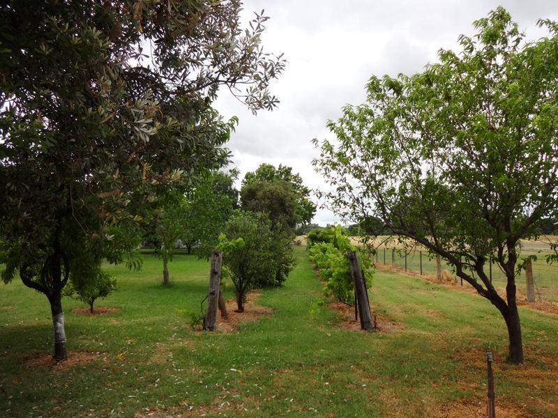 Wangaratta VIC 3677