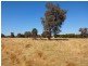Lot 6 Ploughlands Court, Tarrawingee VIC 3678