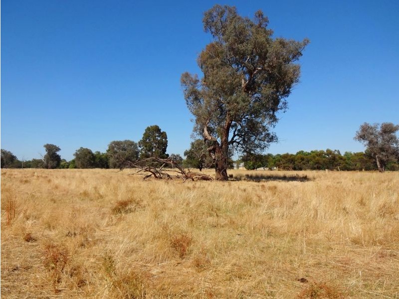 Lot 6 Ploughlands Court, Tarrawingee VIC 3678