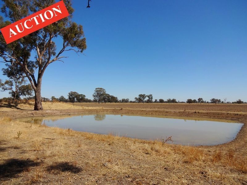 894 Federation Way, Wangaratta VIC 3677