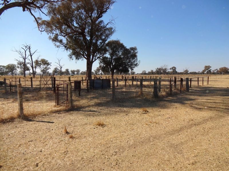 894 Federation Way, Wangaratta VIC 3677
