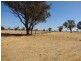 894 Federation Way, Wangaratta VIC 3677