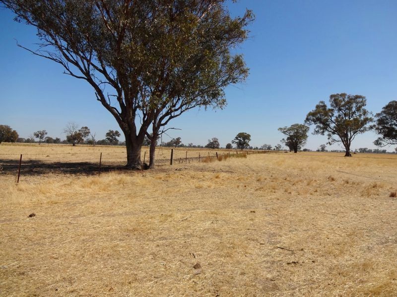 894 Federation Way, Wangaratta VIC 3677