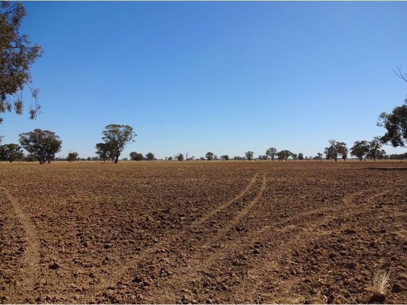 894 Federation Way, Wangaratta VIC 3677