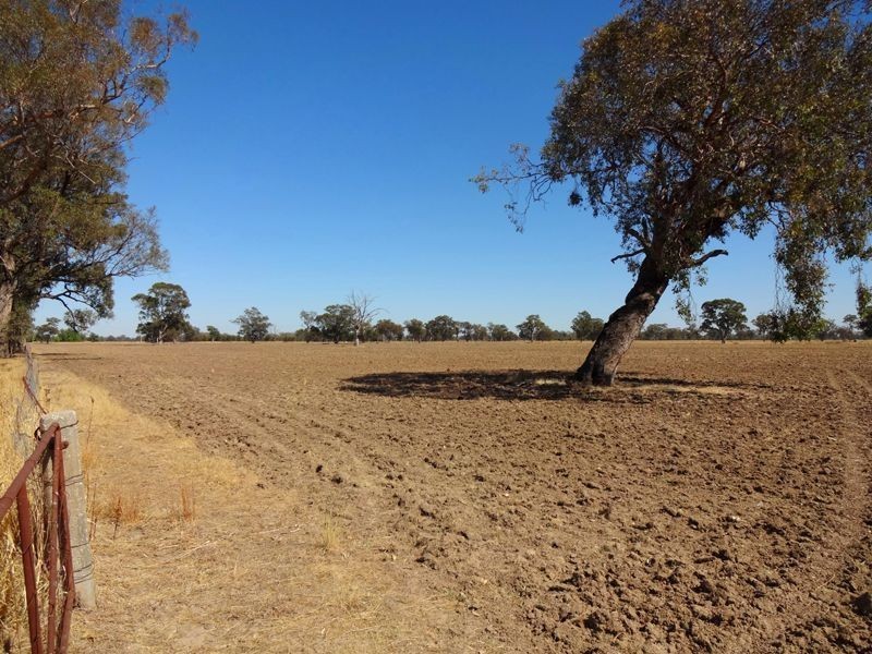 894 Federation Way, Wangaratta VIC 3677