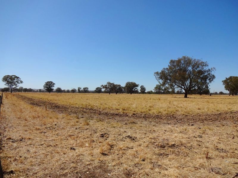 894 Federation Way, Wangaratta VIC 3677