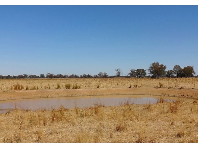 894 Federation Way, Wangaratta VIC 3677