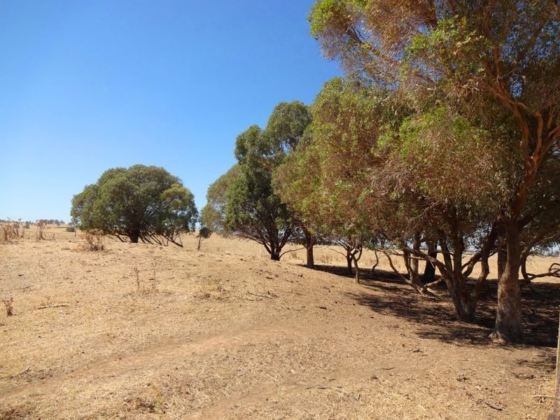 700 Boralma-Rutherglen Road, Wangaratta VIC 3677