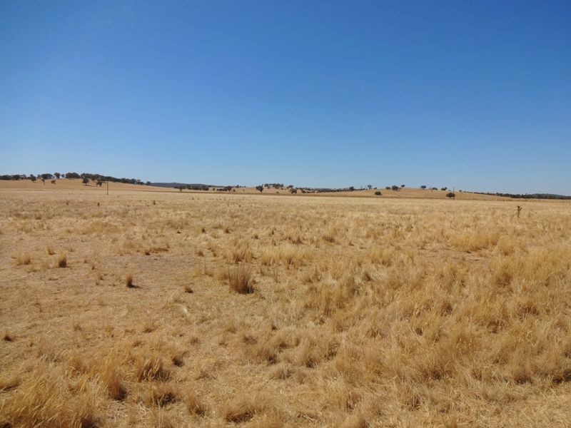 700 Boralma-Rutherglen Road, Wangaratta VIC 3677