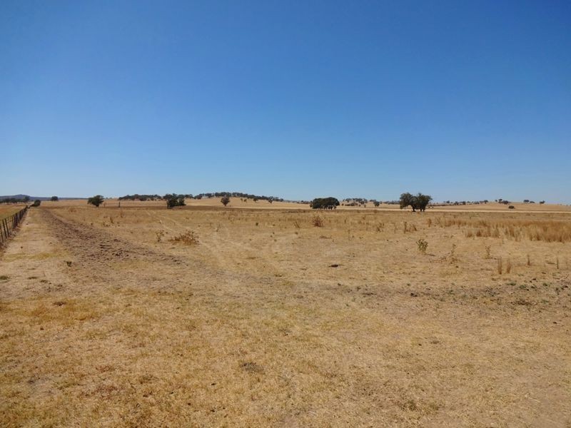 700 Boralma-Rutherglen Road, Wangaratta VIC 3677