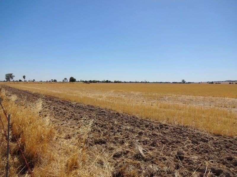 449 McMahons Road, Wangaratta VIC 3677