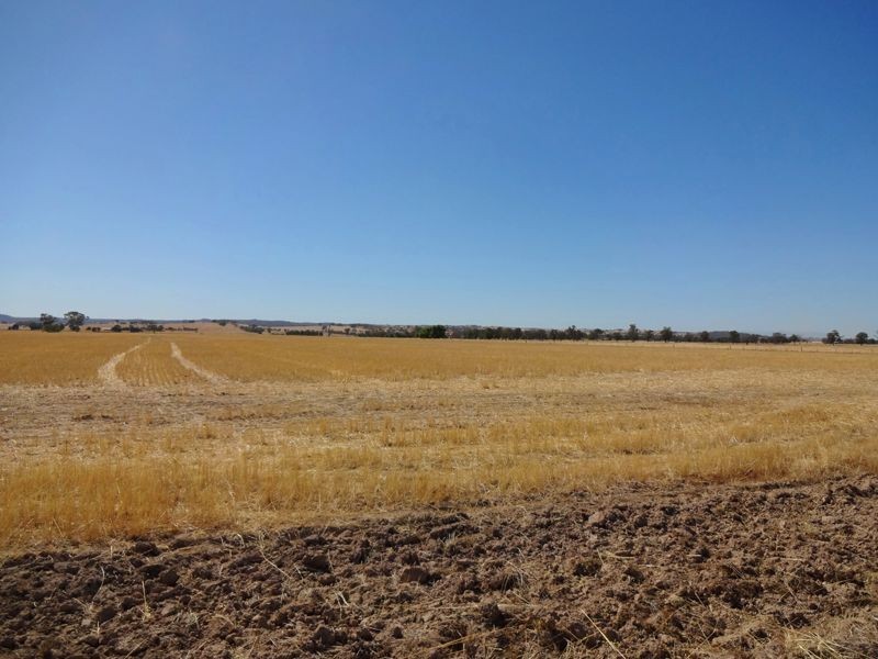 449 McMahons Road, Wangaratta VIC 3677