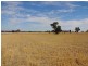 Wangaratta VIC 3677