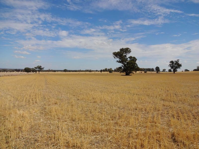 Wangaratta VIC 3677