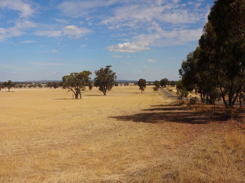 Wangaratta VIC 3677
