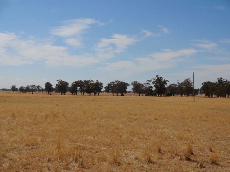 Wangaratta VIC 3677