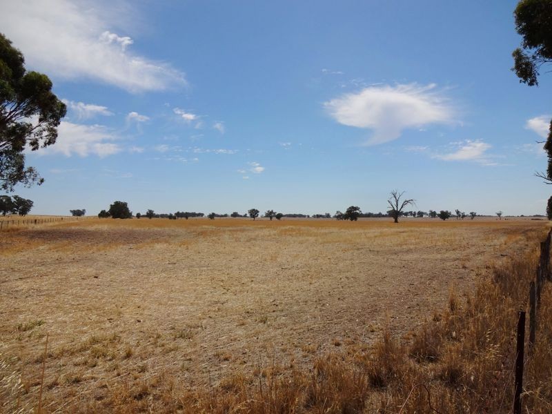 Wangaratta VIC 3677