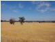Wangaratta VIC 3677