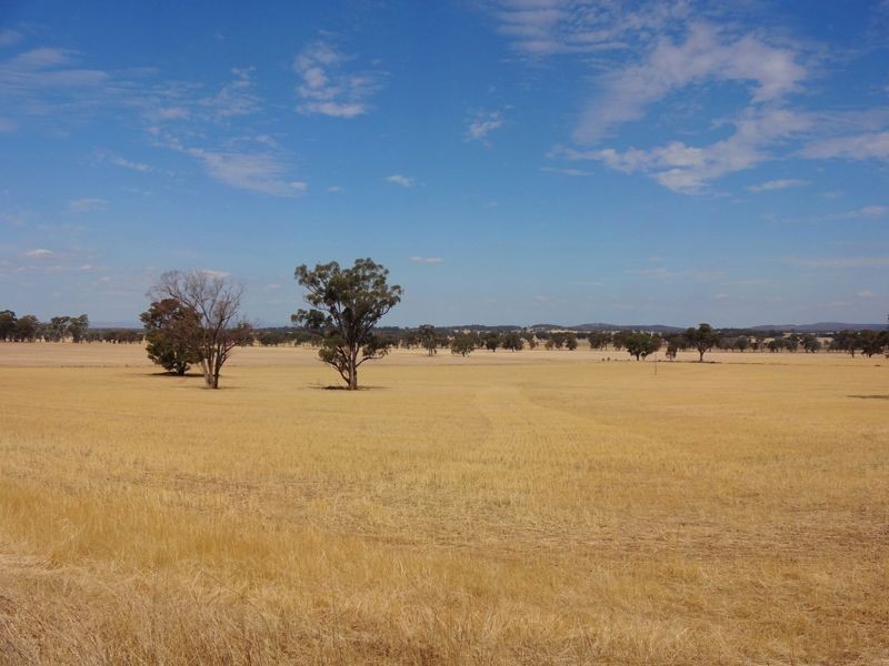 Wangaratta VIC 3677