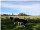 Milawa VIC 3678
