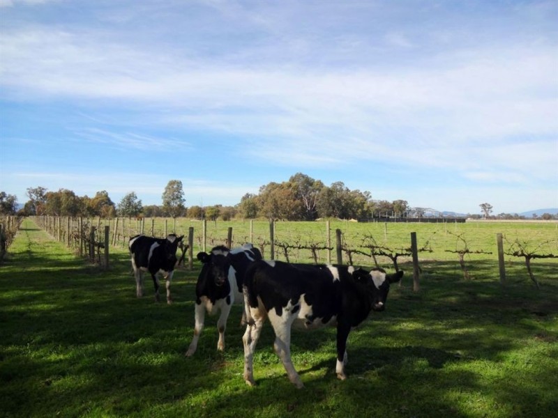 Milawa VIC 3678
