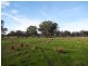 Lot 3 Laceby-Targoora Road, Laceby VIC 3678