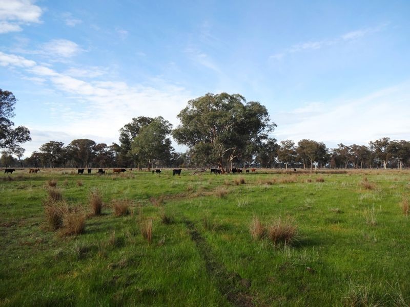 Lot 3 Laceby-Targoora Road, Laceby VIC 3678