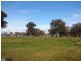 Lot 3 Laceby-Targoora Road, Laceby VIC 3678