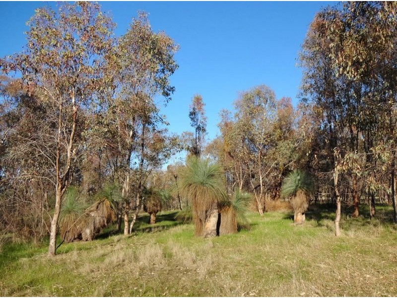 108 Omaru Road, Wangaratta South VIC 3678