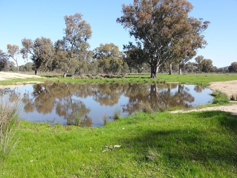 200 Panes Lane, Laceby VIC 3678