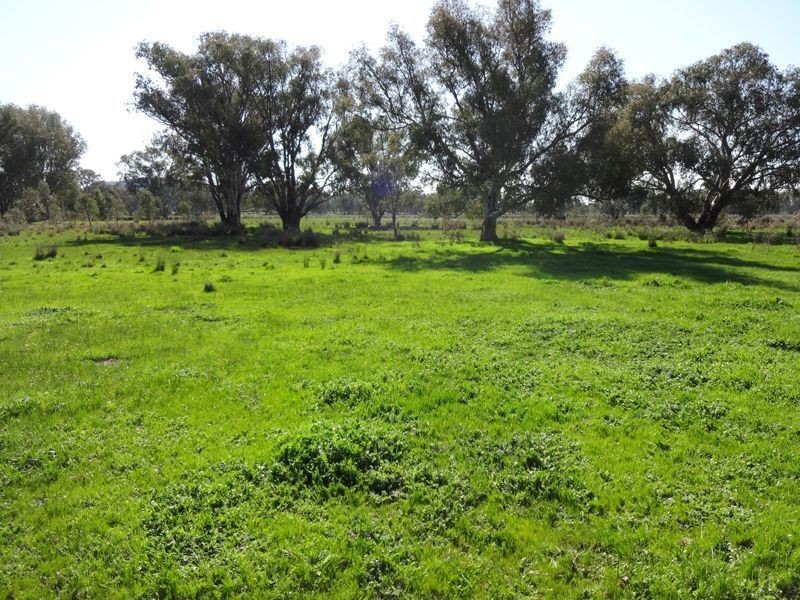 200 Panes Lane, Laceby VIC 3678