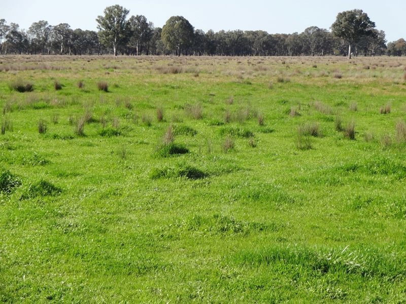 200 Panes Lane, Laceby VIC 3678