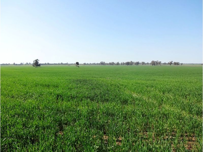 900 Hicks Road, Bundalong VIC 3730