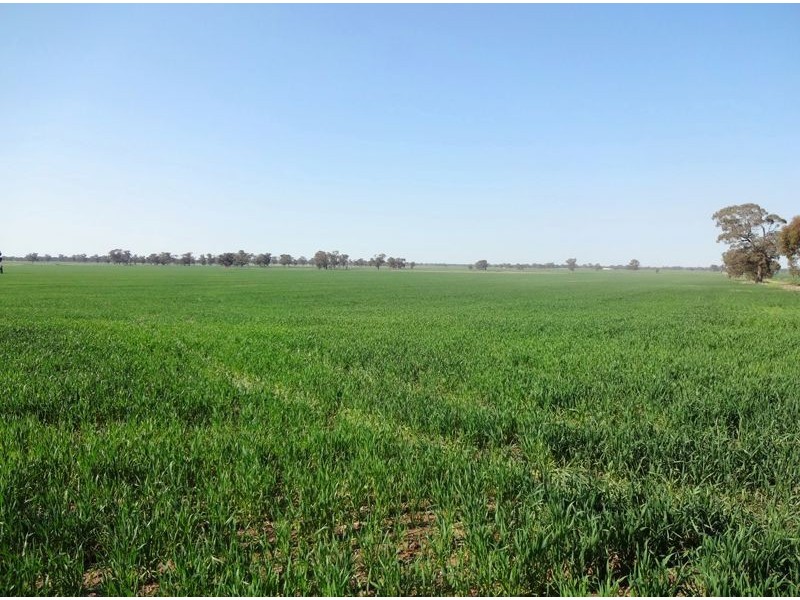 900 Hicks Road, Bundalong VIC 3730