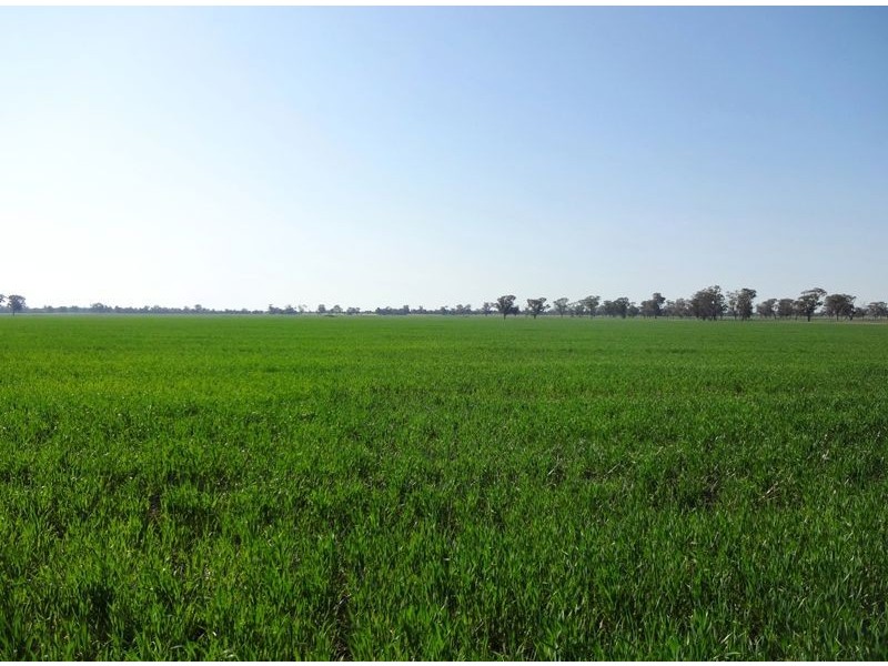 900 Hicks Road, Bundalong VIC 3730