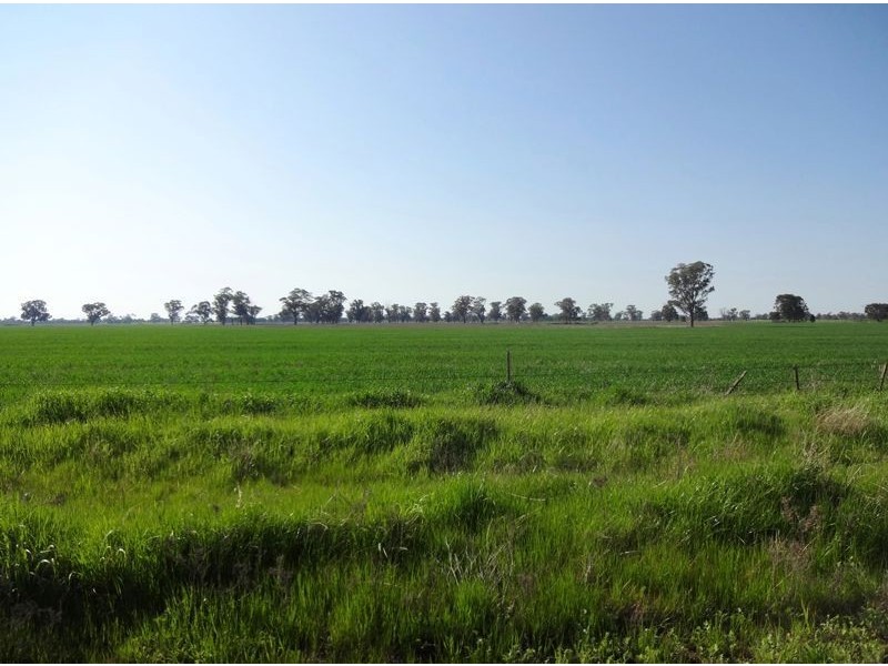 900 Hicks Road, Bundalong VIC 3730