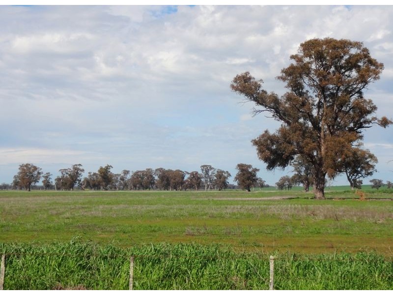 760 Flanagans Road, Bundalong VIC 3730