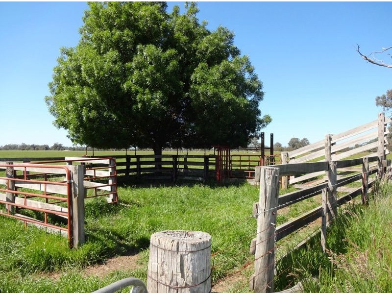 140 Dundas Lane, Greta West VIC 3675