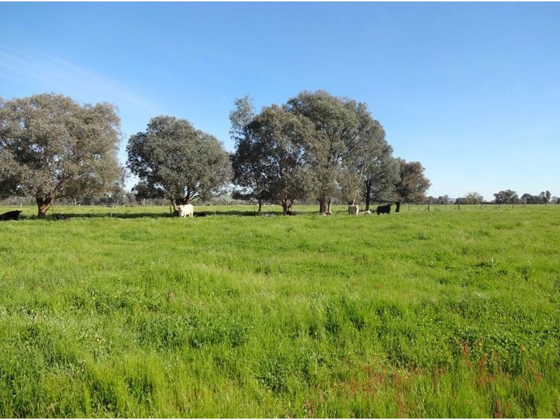 140 Dundas Lane, Greta West VIC 3675