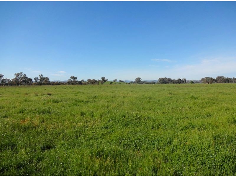 140 Dundas Lane, Greta West VIC 3675