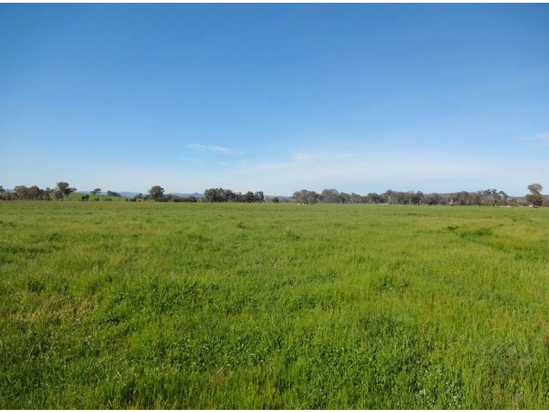 140 Dundas Lane, Greta West VIC 3675